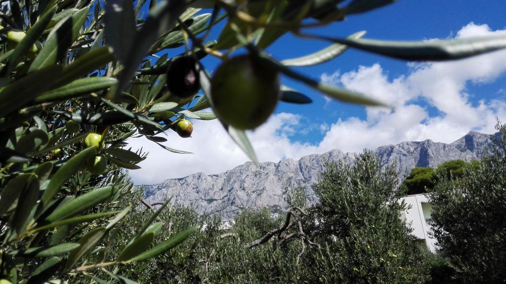 Apartmani Sabic A6 Makarska Luaran gambar